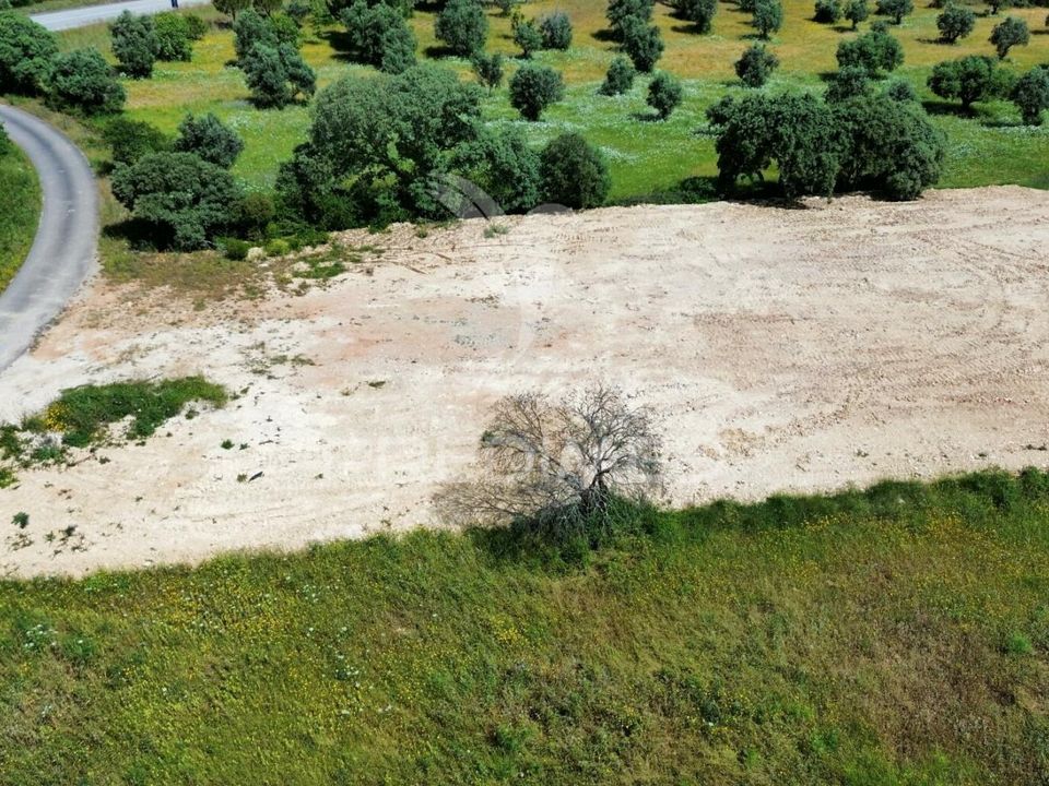 Helårsgrund i Torres Novas, Santarem - foto 3