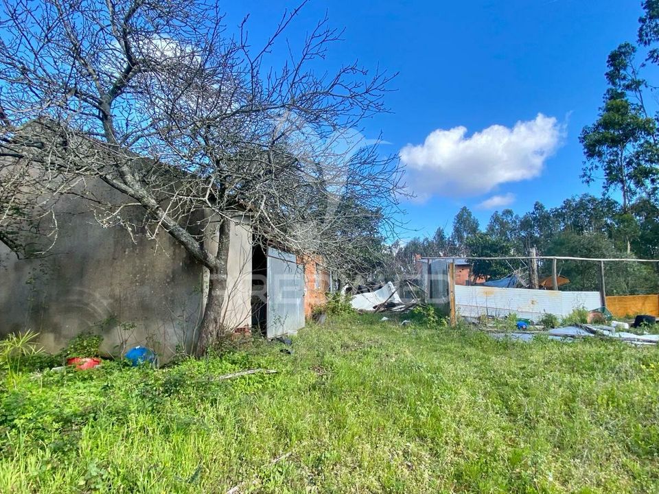 Byhus i Rio Maior, Santarem - foto 3