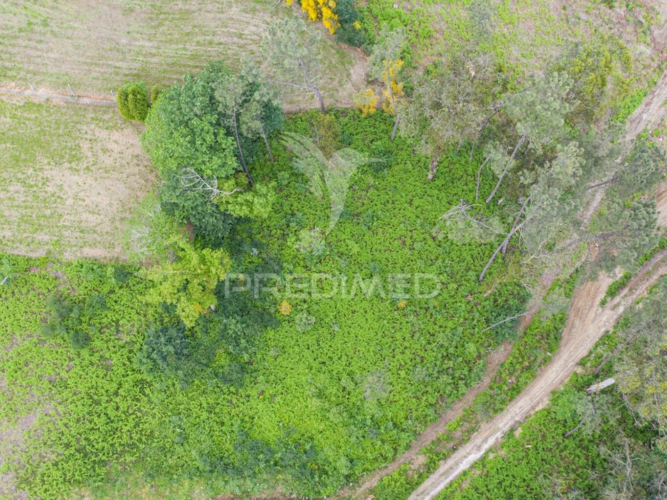 Helårsgrund i Vila Verde, Braga - foto 1