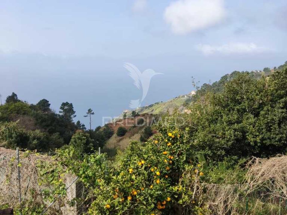 Byhus i Calheta, Madeira - foto 4