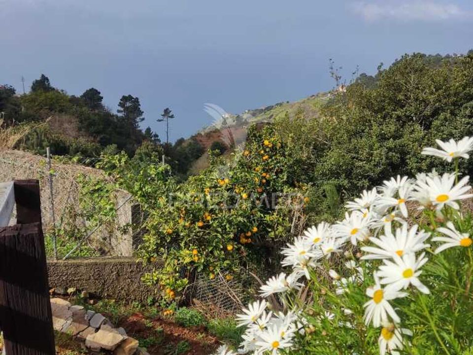 Byhus i Calheta, Madeira - foto 5