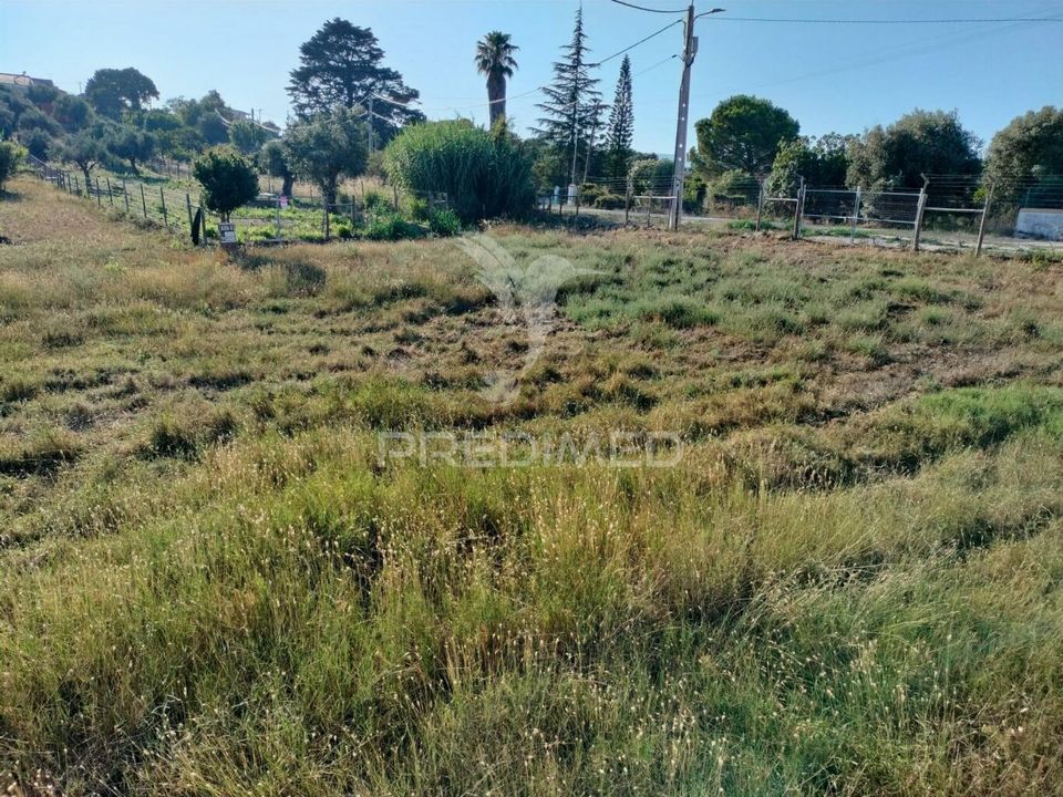 Helårsgrund i Torres Novas, Santarem - foto 1