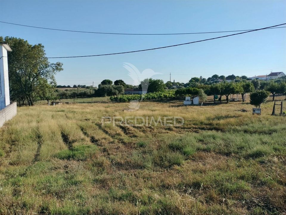 Helårsgrund i Torres Novas, Santarem - foto 2