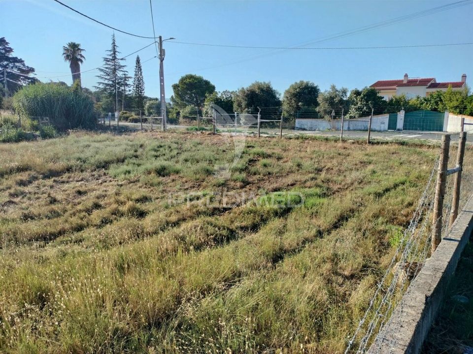 Helårsgrund i Torres Novas, Santarem - foto 3
