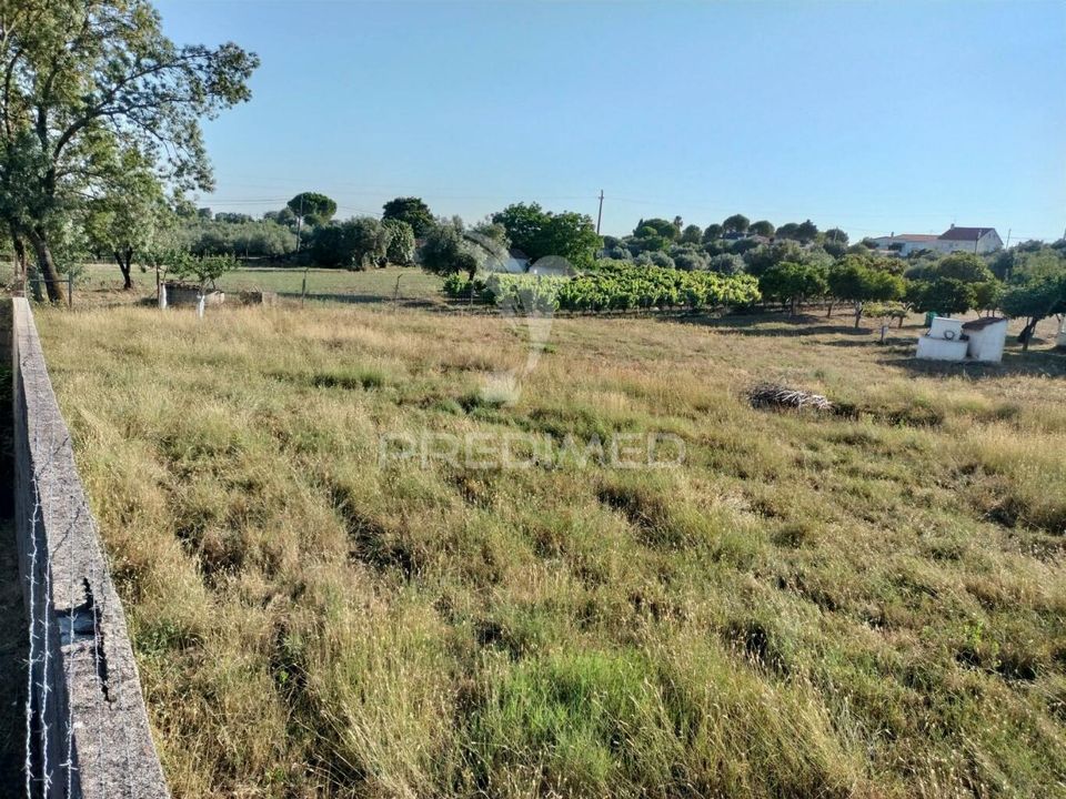 Helårsgrund i Torres Novas, Santarem - foto 4