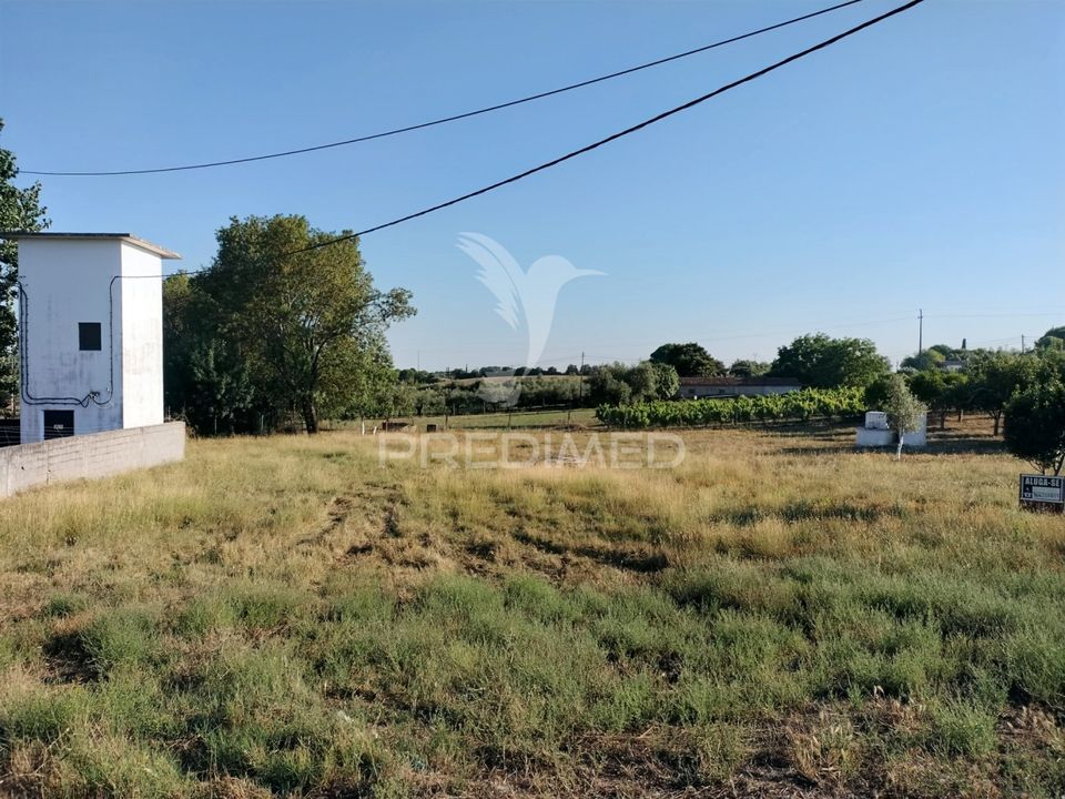 Helårsgrund i Torres Novas, Santarem - foto 5