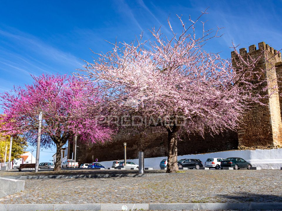 Erhvervsejendom i Alandroal, Evora - foto 4