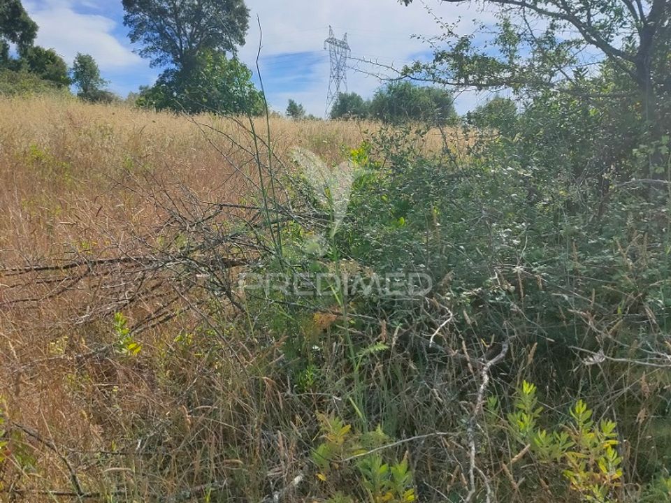Helårsgrund i Tomar, Santarem - foto 2