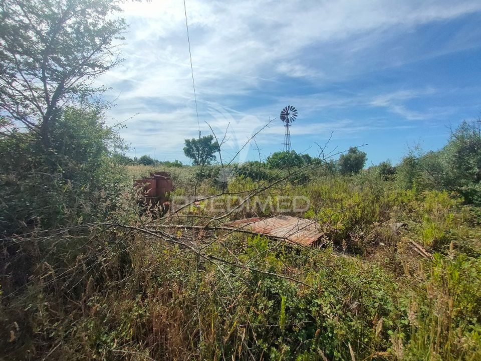 Helårsgrund i Tomar, Santarem - foto 3