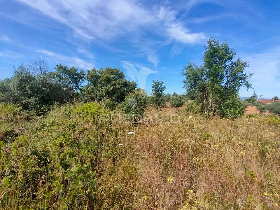 Helårsgrund i Tomar, Santarem - foto 4