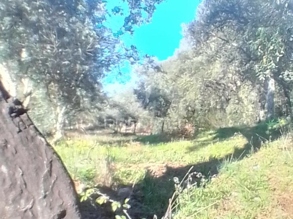 Helårsgrund i Portalegre, Portalegre - foto 1
