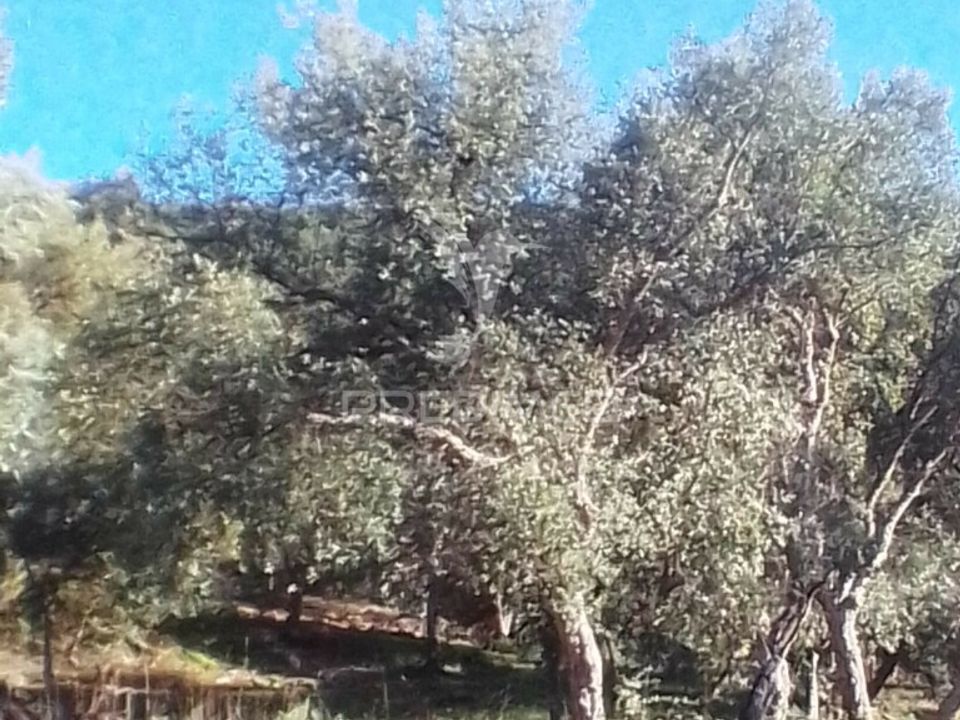 Helårsgrund i Portalegre, Portalegre - foto 2