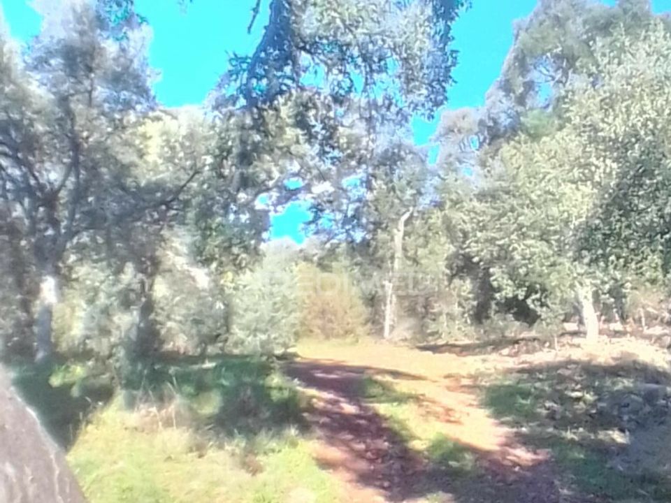 Helårsgrund i Portalegre, Portalegre - foto 3