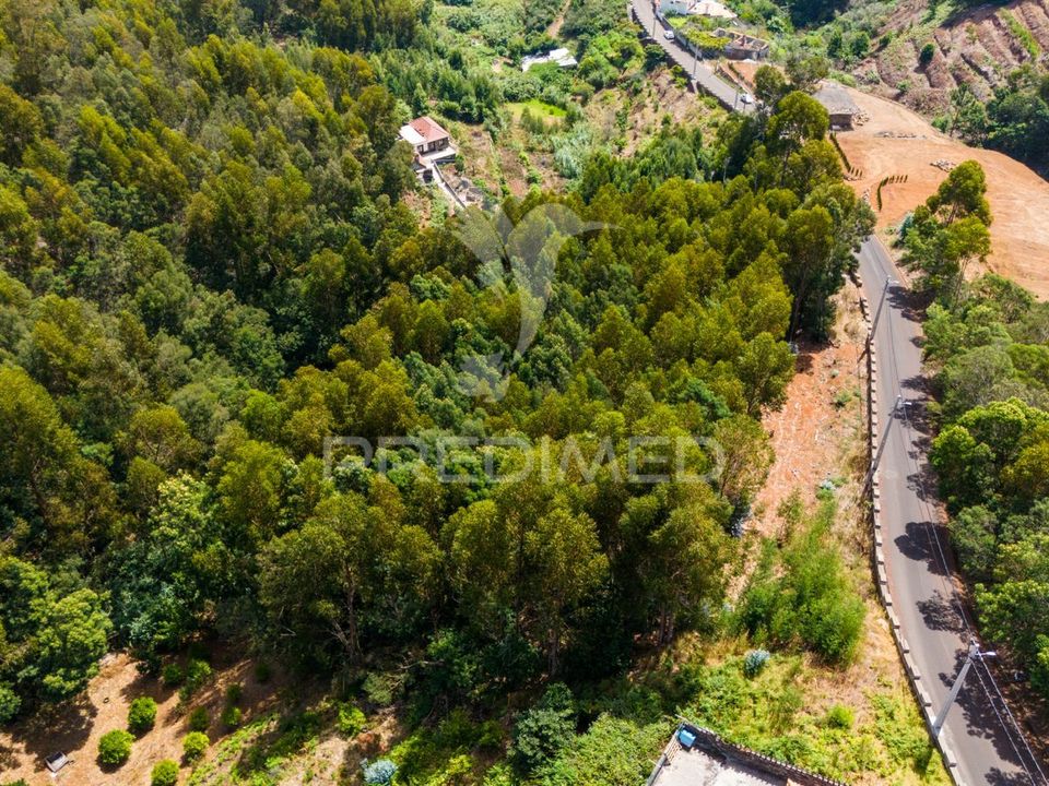 Helårsgrund i Santa Cruz, Madeira - foto 2