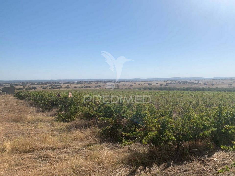 Helårsgrund i Mourao, Evora - foto 1
