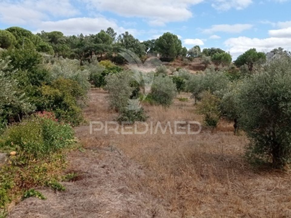 Masia a Ponte de Sor, Portalegre - foto 2