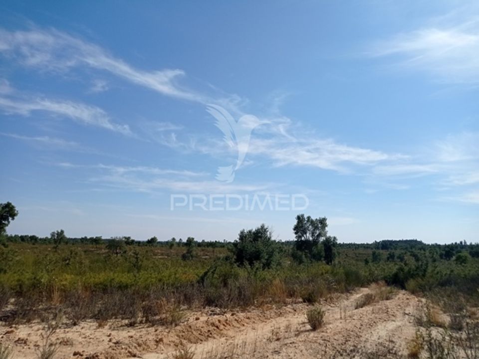 Masia a Gaviao, Portalegre - foto 2