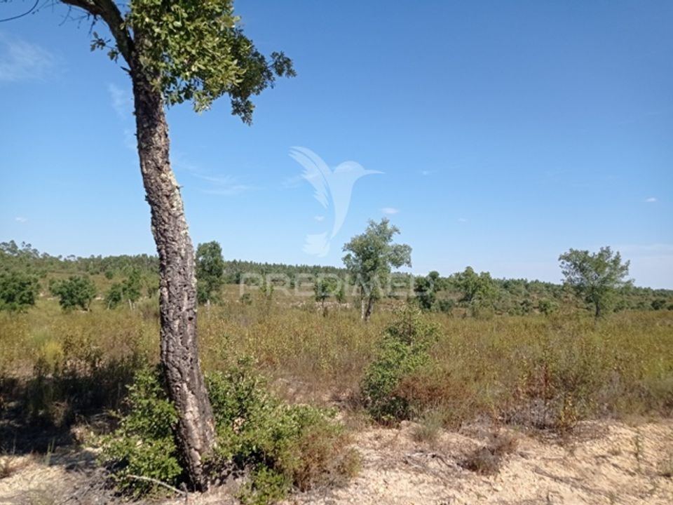 Masia a Gaviao, Portalegre - foto 3