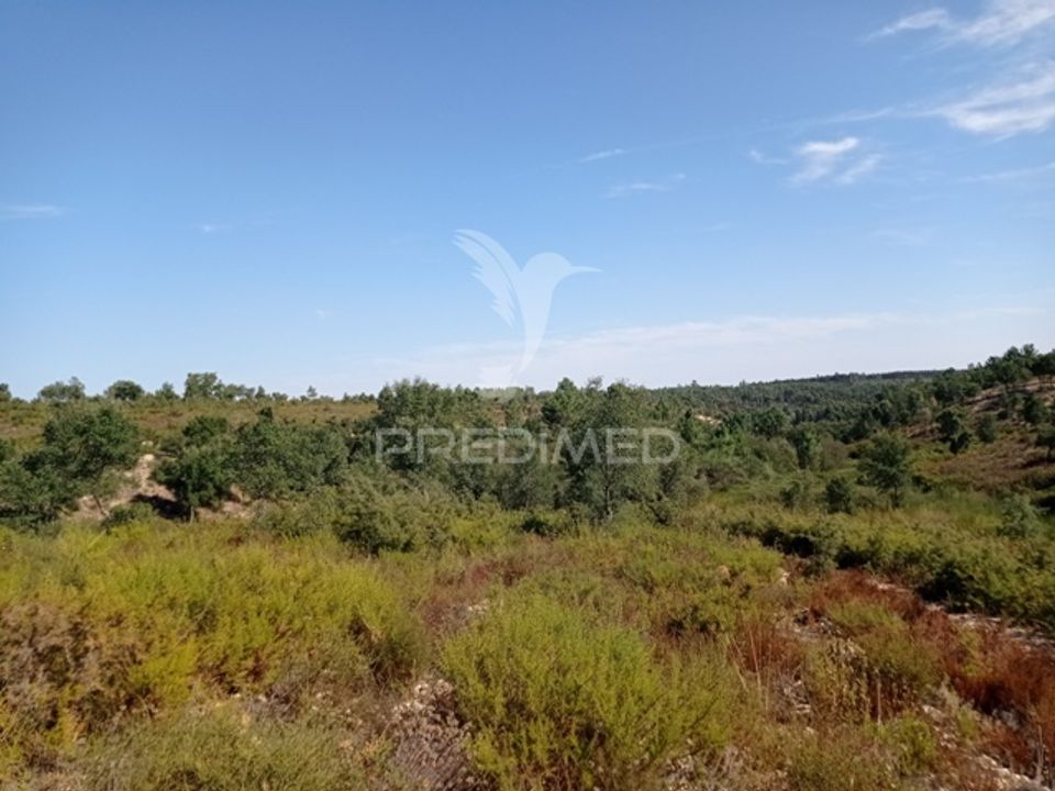 Masia a Gaviao, Portalegre - foto 4