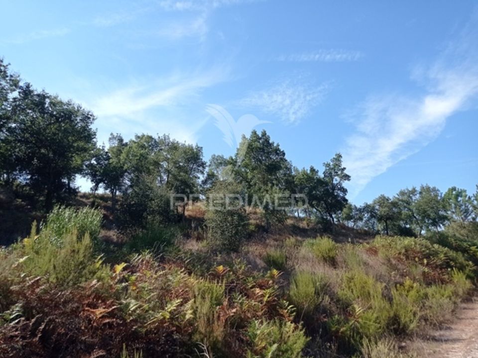 Masia a Gaviao, Portalegre - foto 5