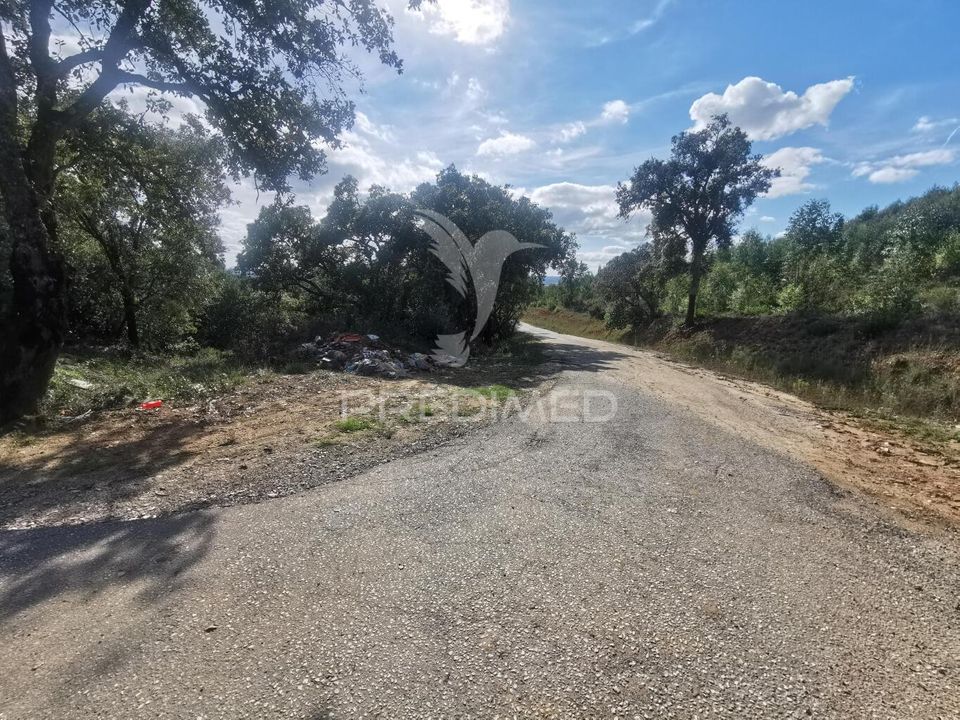 Helårsgrund i Vila Nova da Barquinha, Santarem - foto 1