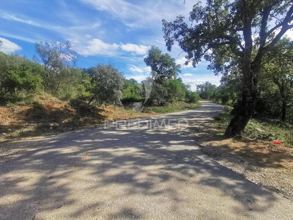 Helårsgrund i Vila Nova da Barquinha, Santarem - foto 3