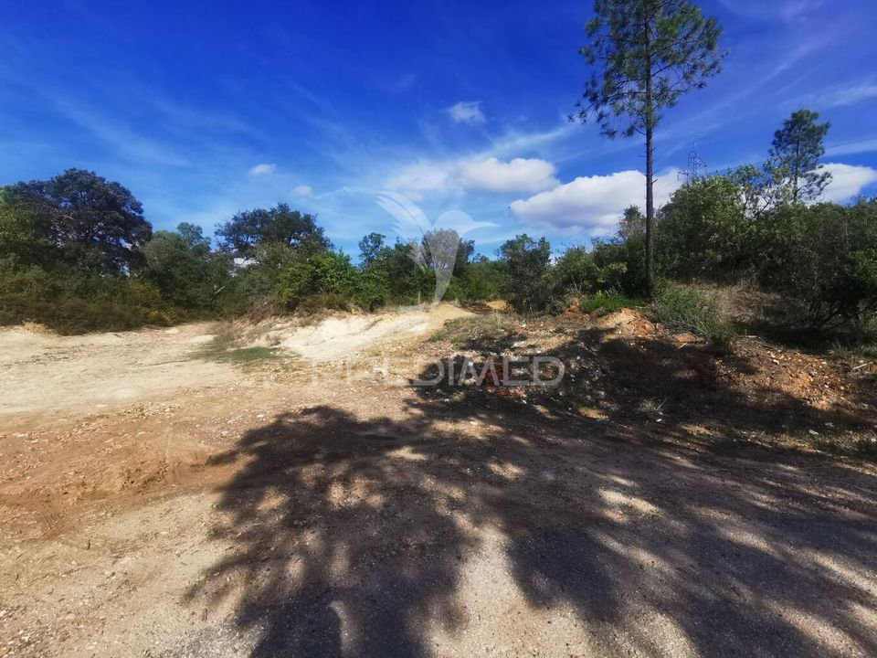 Helårsgrund i Vila Nova da Barquinha, Santarem - foto 4