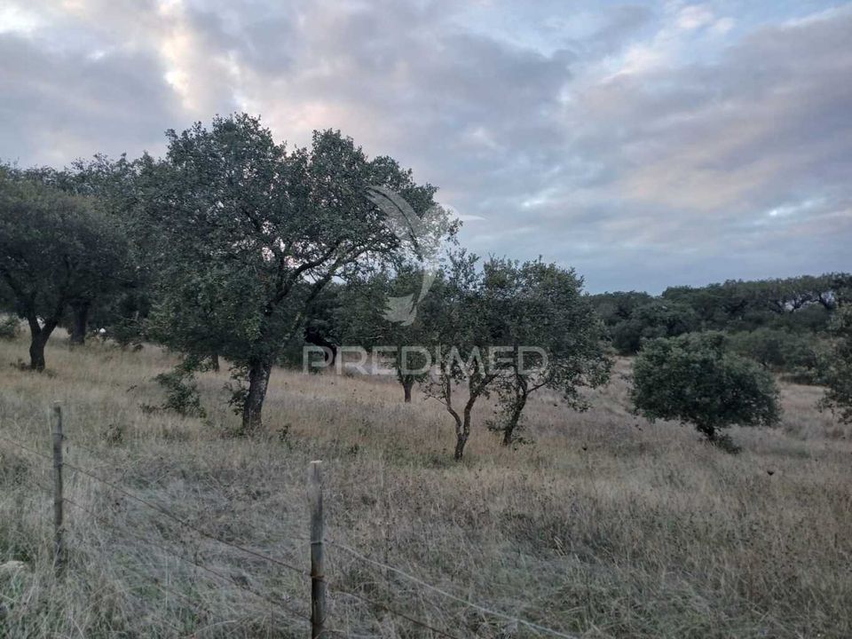 Helårsgrund i Alandroal, Evora - foto 1