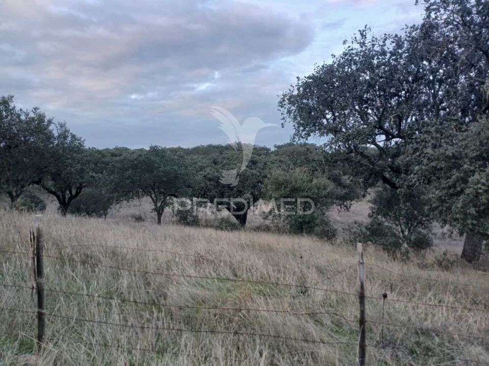 Helårsgrund i Alandroal, Evora - foto 3