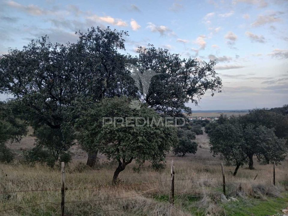 Helårsgrund i Alandroal, Evora - foto 4