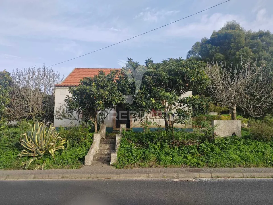 Farm hus i Torres Vedras, Lisbon - foto 3