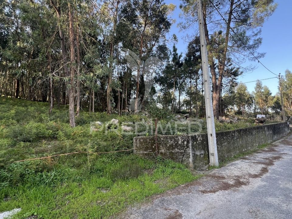 Helårsgrund i Vila Verde, Braga - foto 2