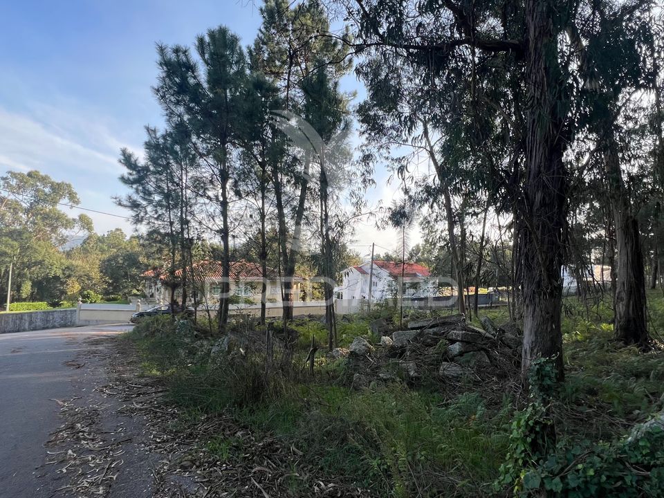 Helårsgrund i Vila Verde, Braga - foto 3