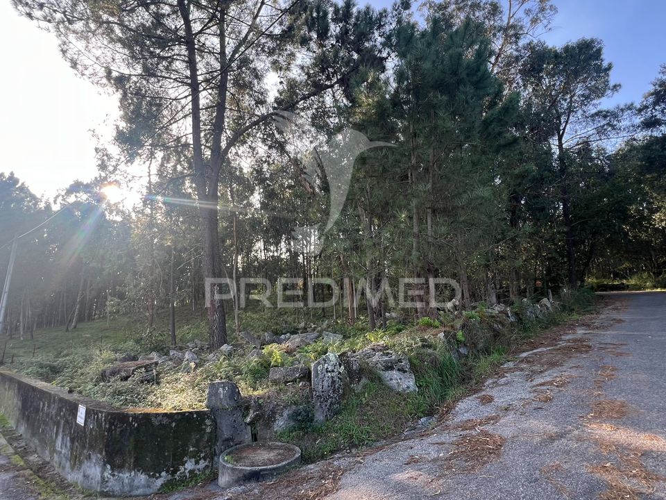 Helårsgrund i Vila Verde, Braga - foto 4