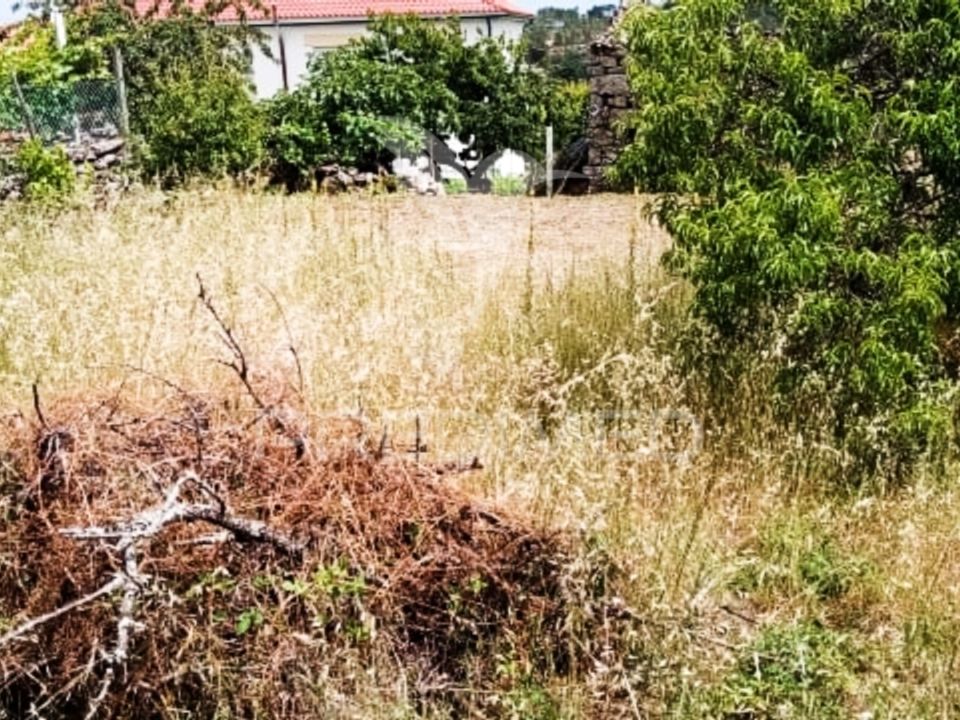 Radhus i Murca, Vila Real - foto 5