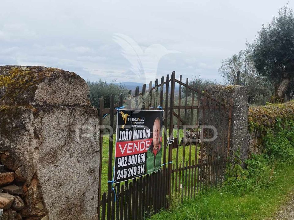 Helårsgrund i Castelo de Vide, Portalegre - foto 2