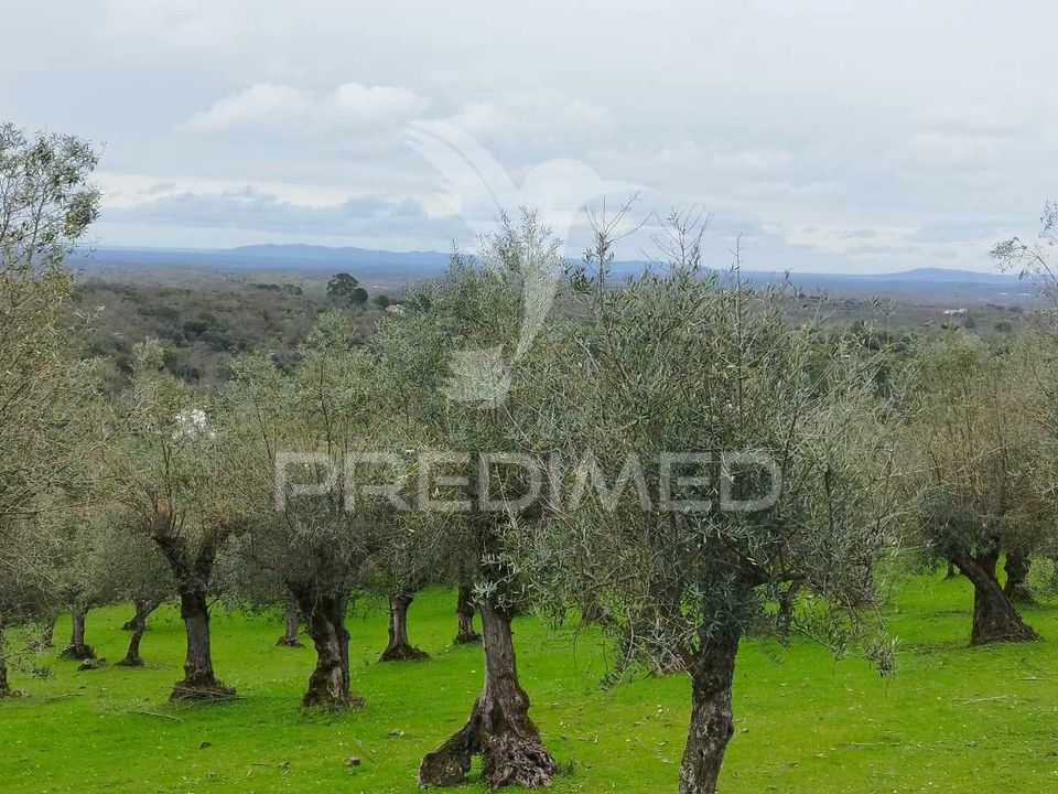 Helårsgrund i Castelo de Vide, Portalegre - foto 5