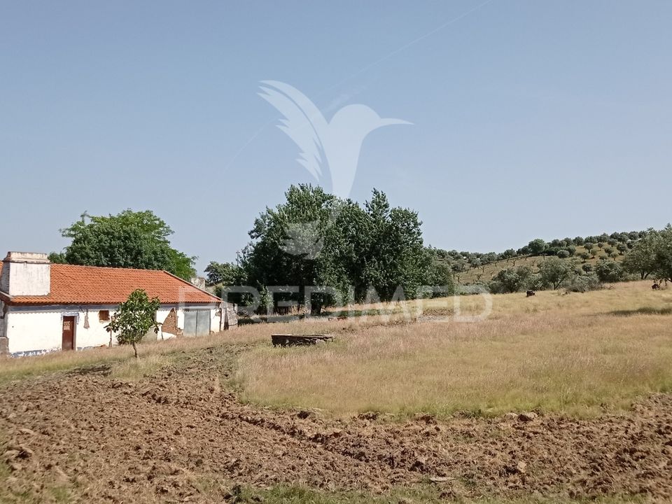 Farm hus i Mora, Evora - foto 2