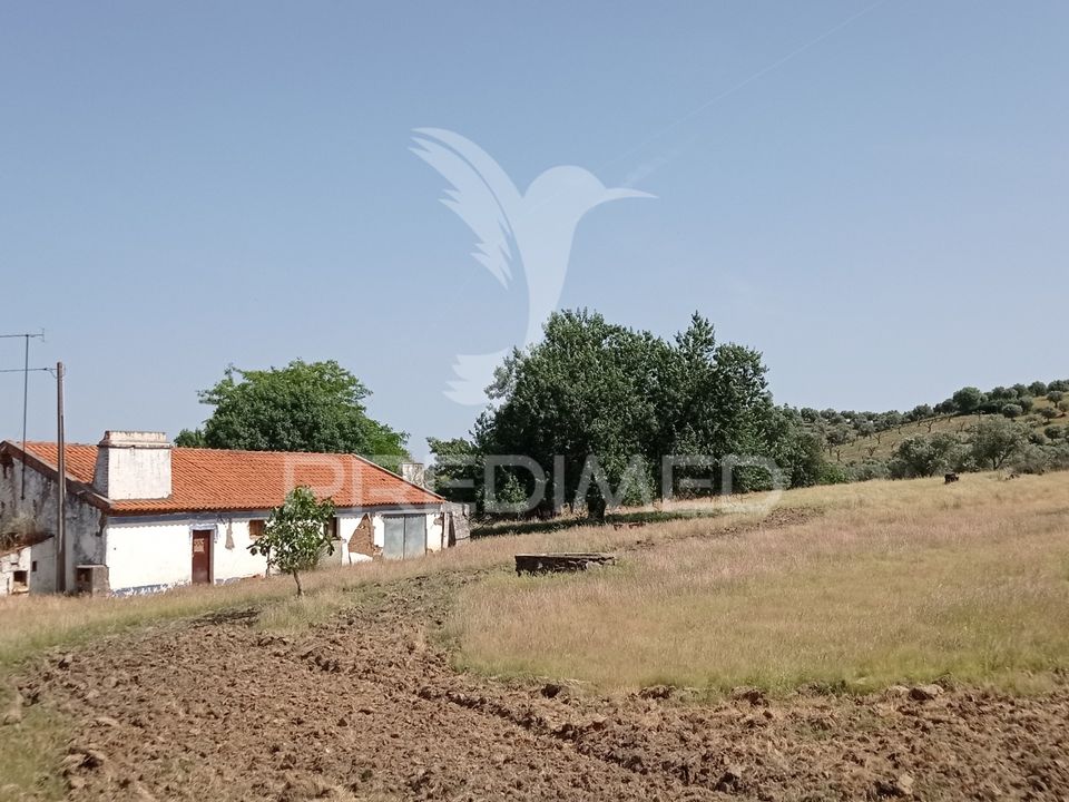 Farm hus i Mora, Evora - foto 3