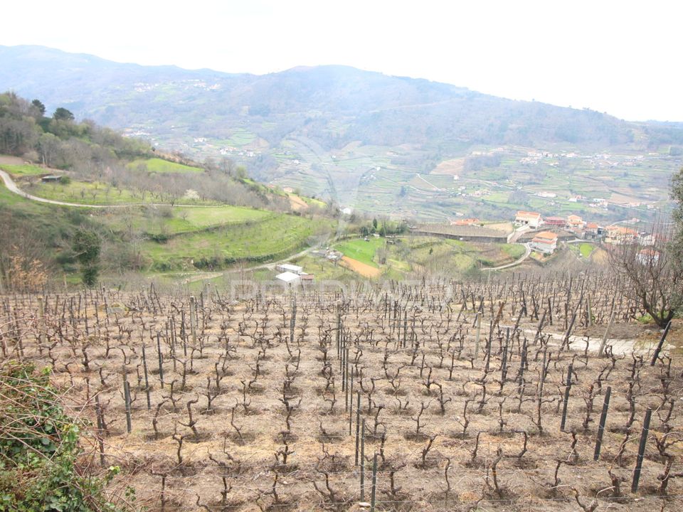 Gårdshus i Resende, Viseu - bilde 5