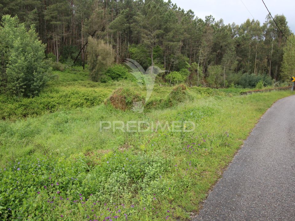 Helårsgrund i Ferreira do Zezere, Santarem - foto 3