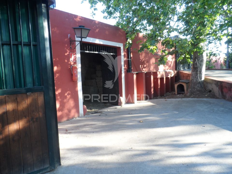 Stadthaus in Elvas, Portalegre - Foto 3