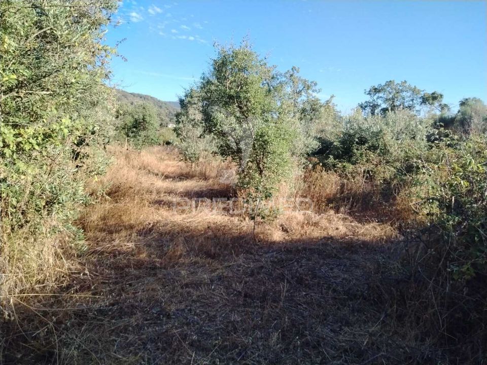 Helårsgrund i Portalegre, Portalegre - foto 1