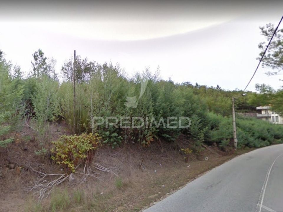 Działka: Nelas, Viseu – zdjęcie 1