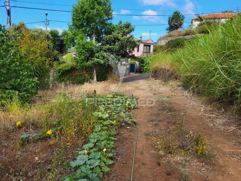Helårsgrund i Santa Cruz, Madeira - foto 4