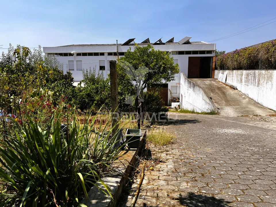 Erhvervsejendom i Torres Novas, Santarem - foto 4