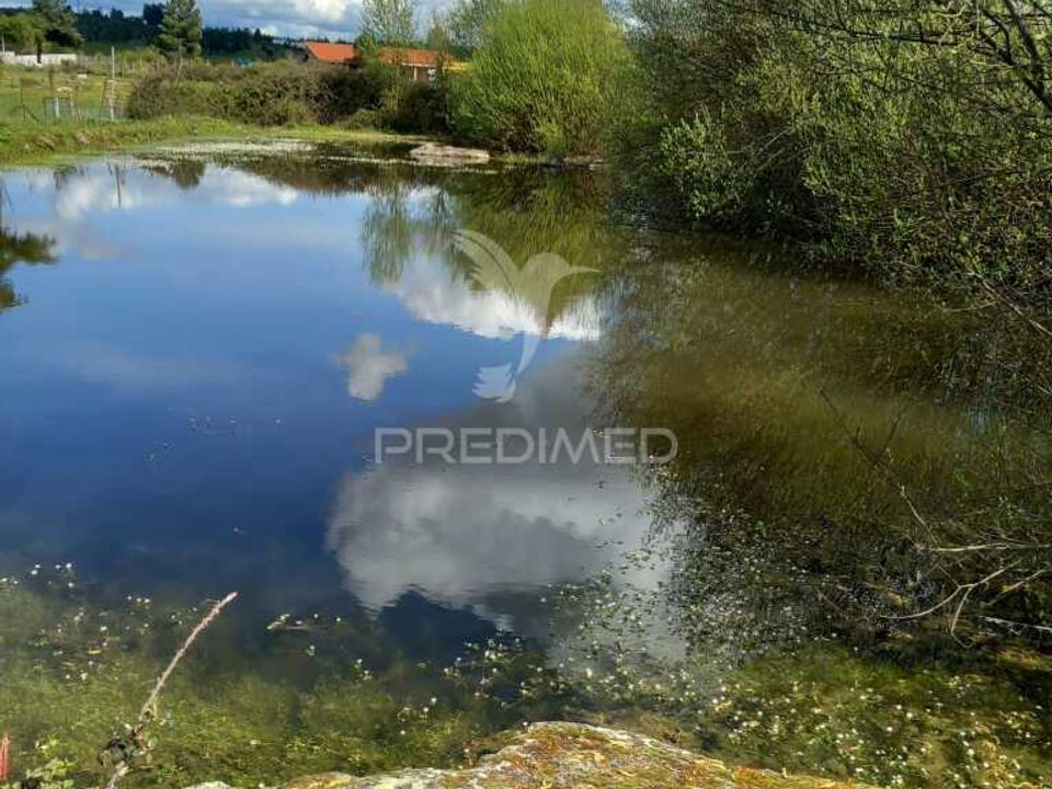 Farm hus i Meda, Guarda - foto 2