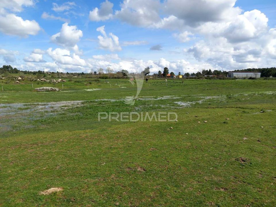 Farm hus i Meda, Guarda - foto 4