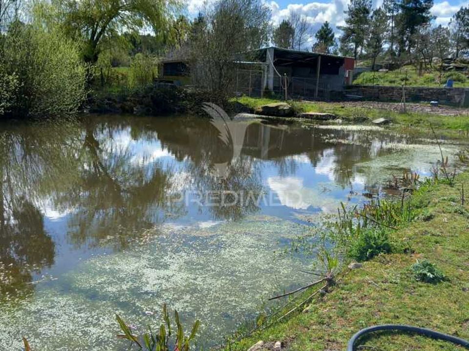 Farm hus i Meda, Guarda - foto 5
