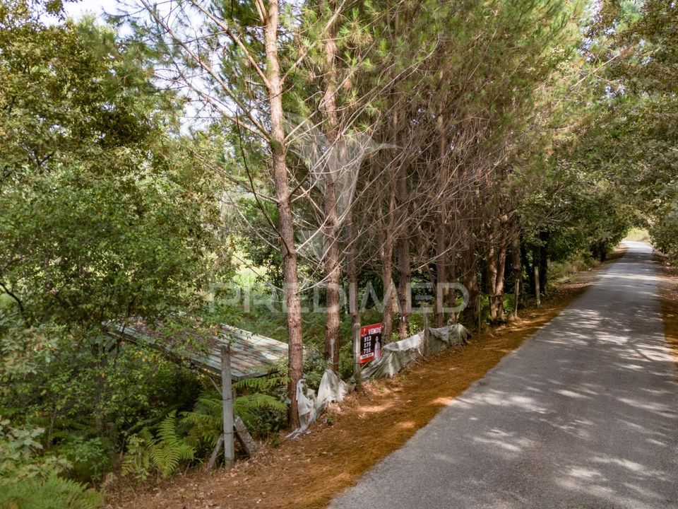 Helårsgrund i Vila Verde, Braga - foto 3